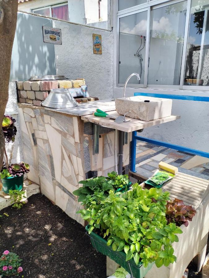 شقة Casa Da Laranjeira مونتارجيل المظهر الخارجي الصورة